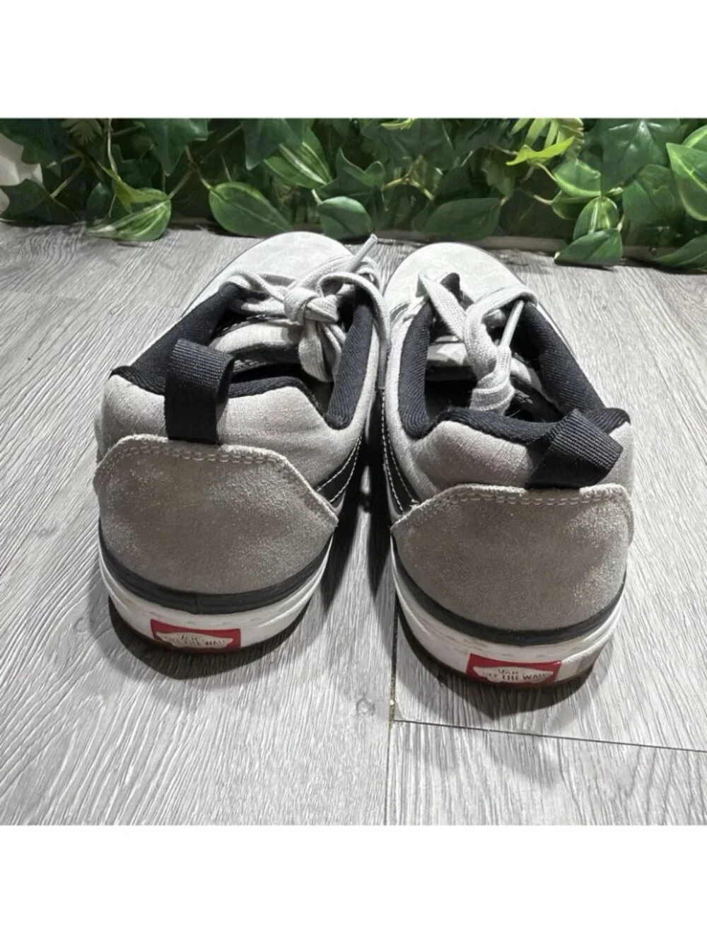 Vans please check
